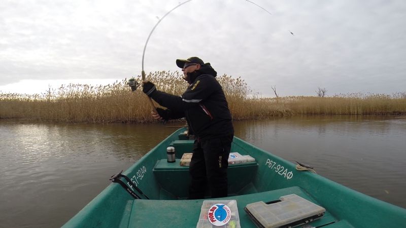 Рваная ступенька или жереховая аритмия