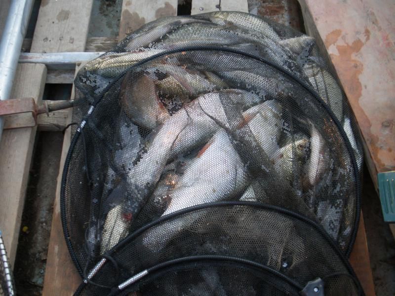 Отчет от Павел177, апрель 2012