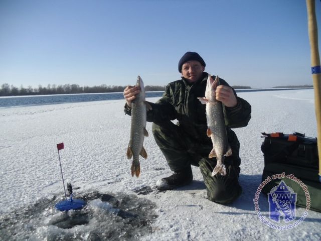 Отчет от Andrei, декабрь 2012