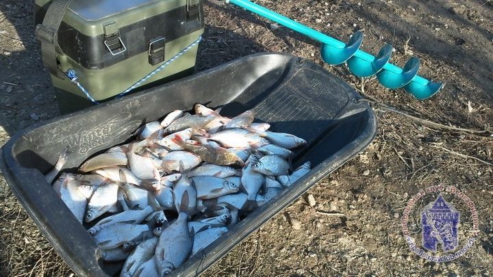 Отчет от Andrei, 10 февраля 2013 год