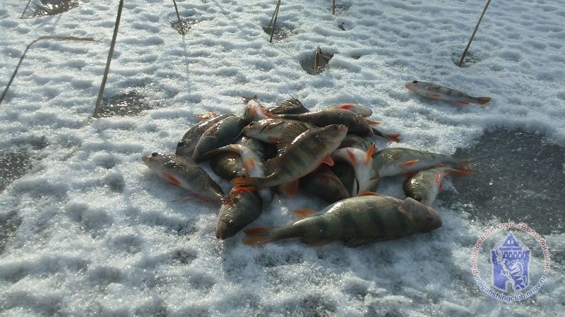 Отчет от Andrei, 12 февраля 2013 год