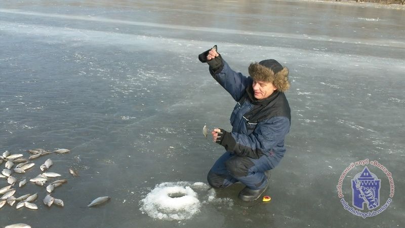 Отчет от Andrei, 16 февраля 2013 год