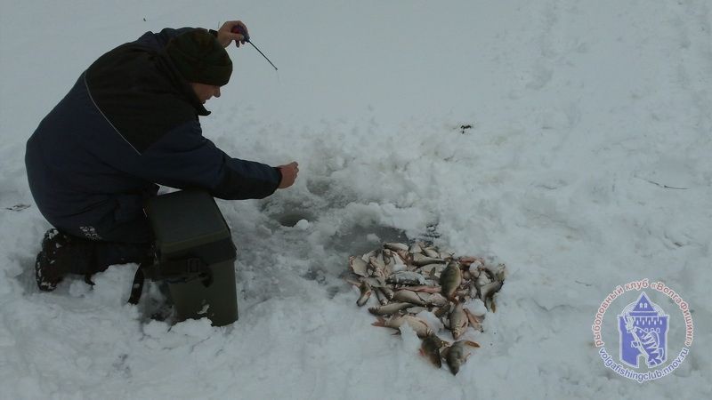 Отчет от Andrei, 22 февраля 2013 год