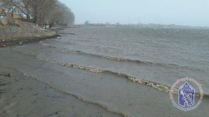 Отчет от Andrei, 15 марта 2013 год