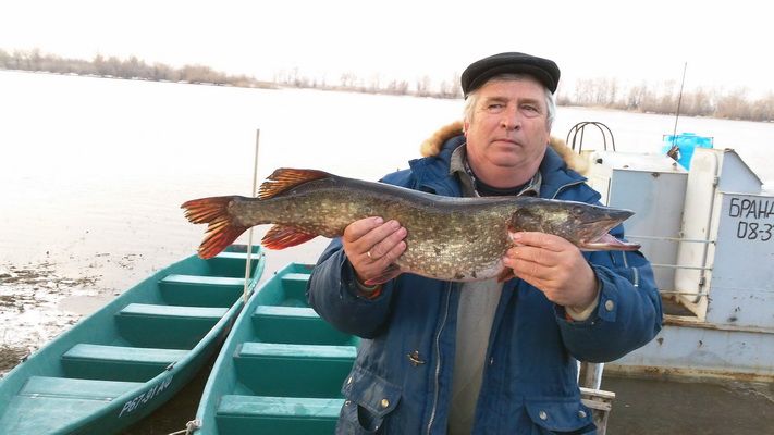 От Золотой_ты_Мой, 17 марта 2013 год