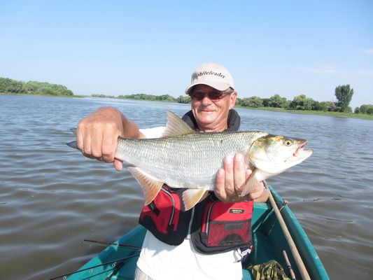 Отчет от Andrei, 07 августа 2013 год