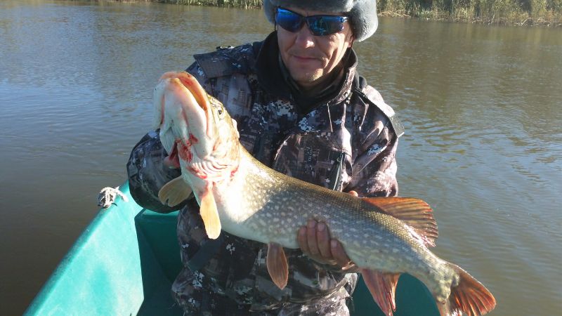 Отчет от Andrei, 24 октября 2013