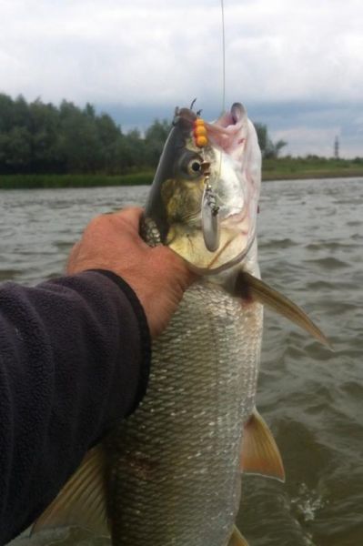 Отчет от @lex, 24.10.2013