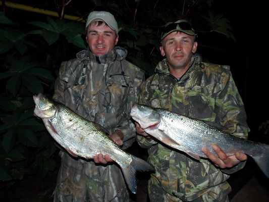 Отчет от Kipper, 08.11.2013