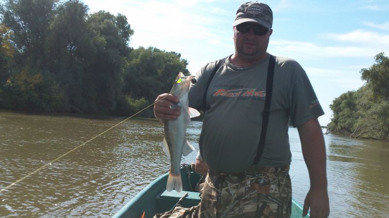 Отчет от enis, сентябрь 2013 год