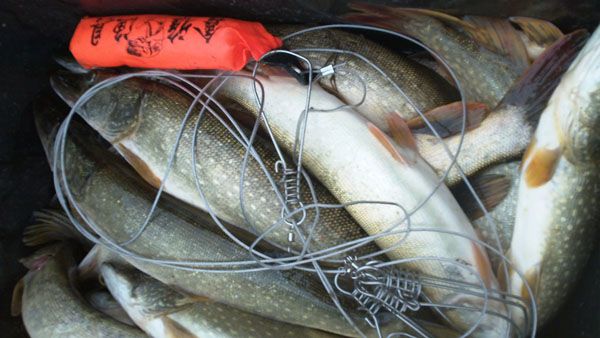 Отчет от reygan, сентябрь 2013