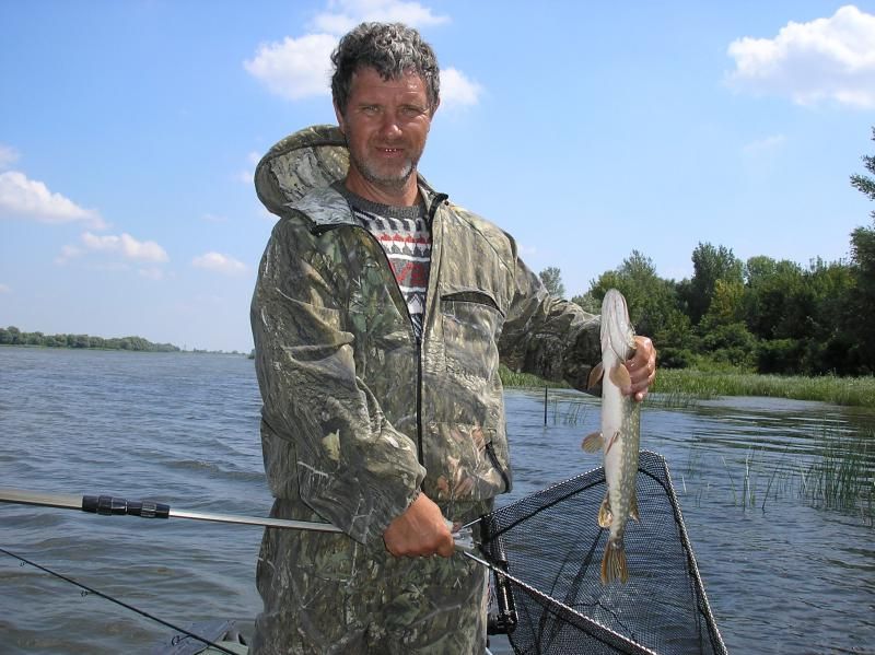 Отчет от vadim shel, август 2013