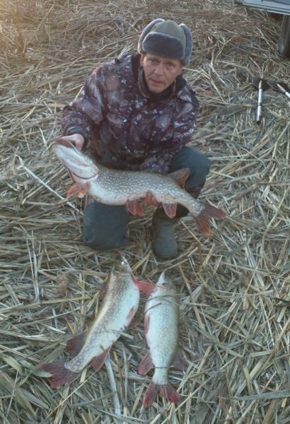 Отчет от Andrei, 27.11.2013 год