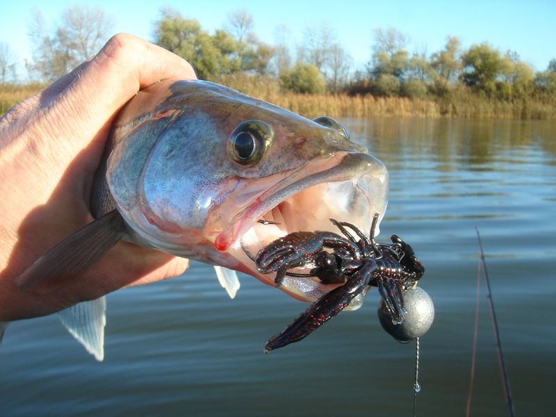 Отчет от Romario Ogro, 30.11.2013 год