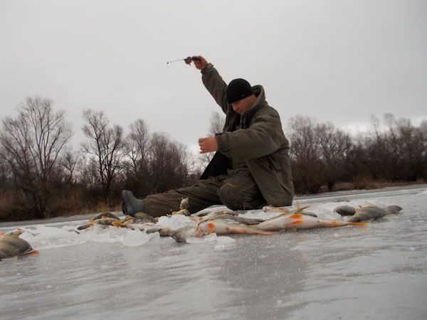Отчет от Петрович, 08.01.2014