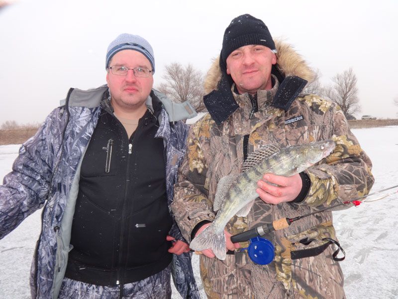 Отчет от Andrei, 25.01.2014