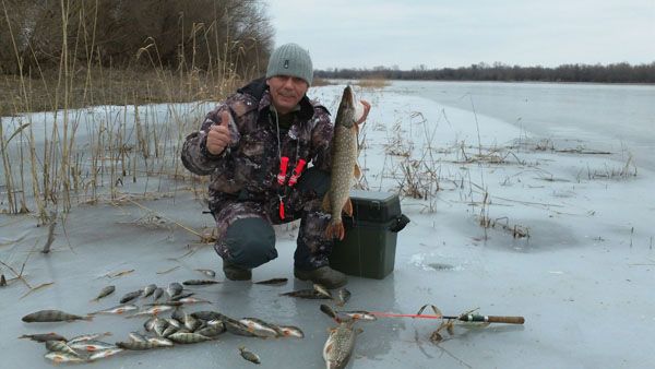 Отчет от Andrei, 29.01.2014