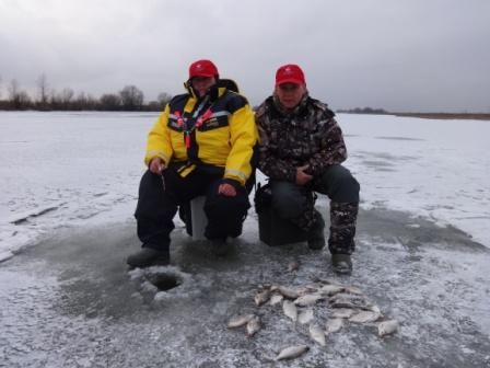 Отчет от Марины(zavuch), 30.01.2014