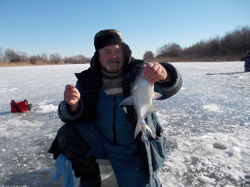 Отчет от Аndrei, 31.01.2014