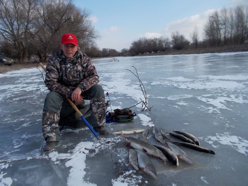 Отчет от Аndrei,03.02.2014 год