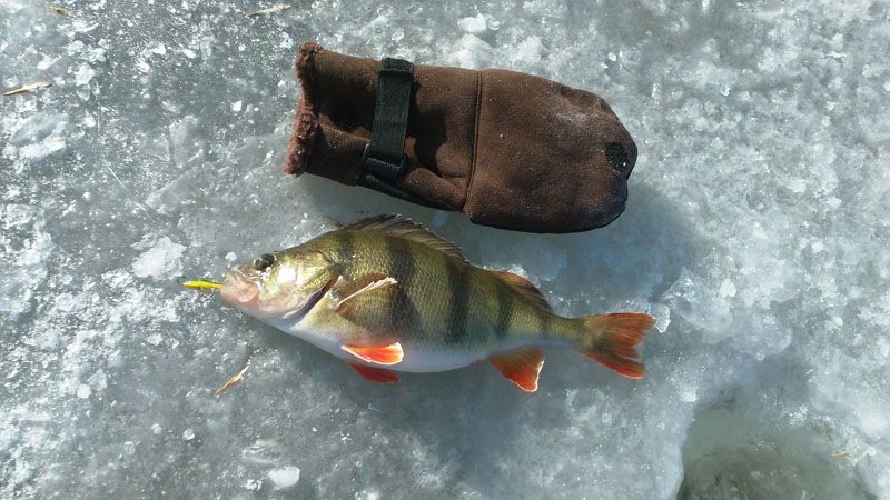 Отчет от Andrei, 06.02.2014