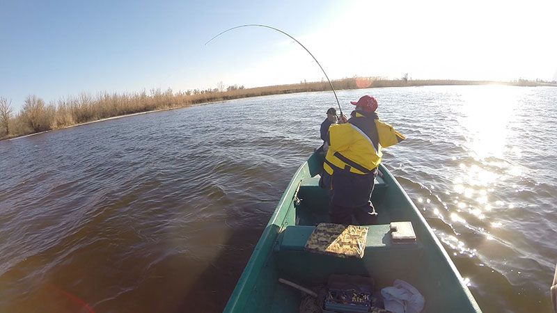 Отчет от Марины (zavuch),10.03.2014