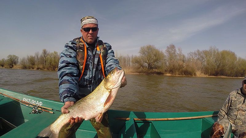 Отчет от Andrei, 15.04.2014