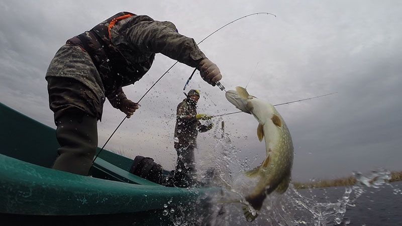 Отчет от Andrei, 23.04.2014