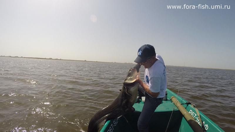 Отчет от Andrei, 15.05.2014