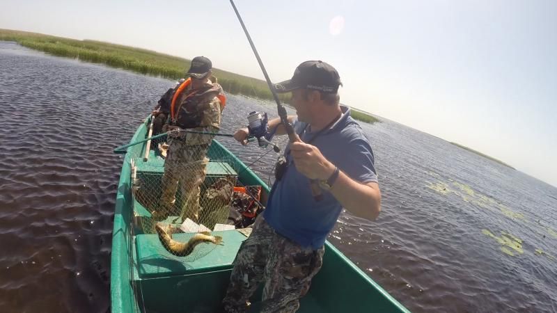 Отчет от Саши Ростов, 19.05.2014