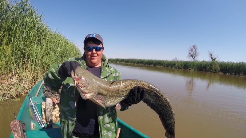 Отчет от zavuch, 16.06.2014