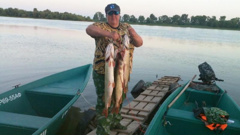 Отчет от zavuch, 06.07.2014