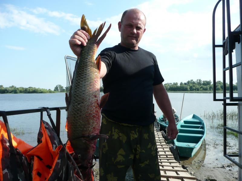 Отчет от Аndrei, 11.07.2014