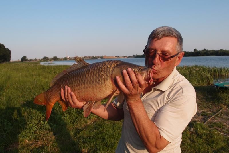 Отчет от FormatCeft, 19.07.2014