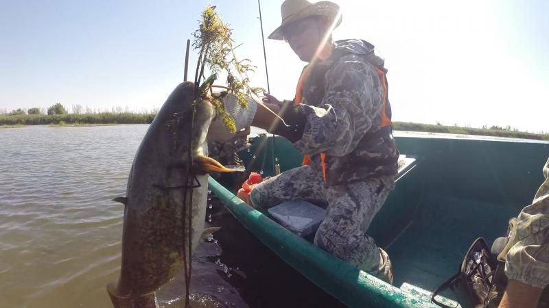 Отчет от Аndrei, 03.08.2014