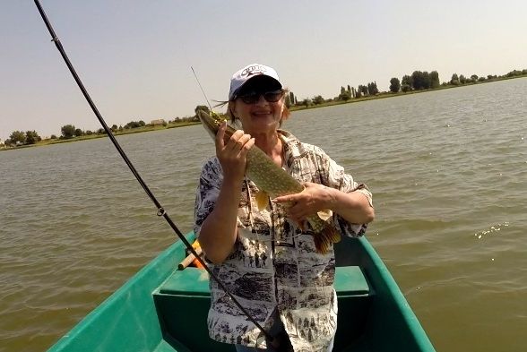 Отчет от zavuch, 13.08.2014