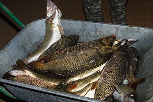 Отчет от Игоррь, 21.08.2014