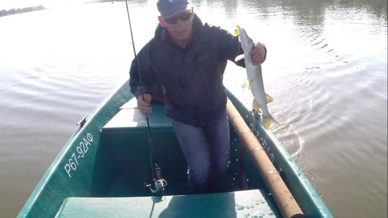 Отчет от zavuch, 12.09.2014