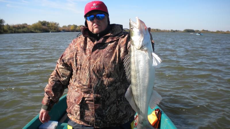 Отчет от zavuch ч.4, 21.10.2014