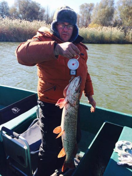 Отчет от poseva73, 28.10.2014