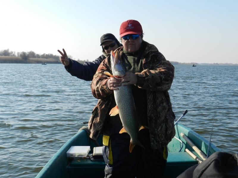 Отчет от zavuch, 06.11.2014