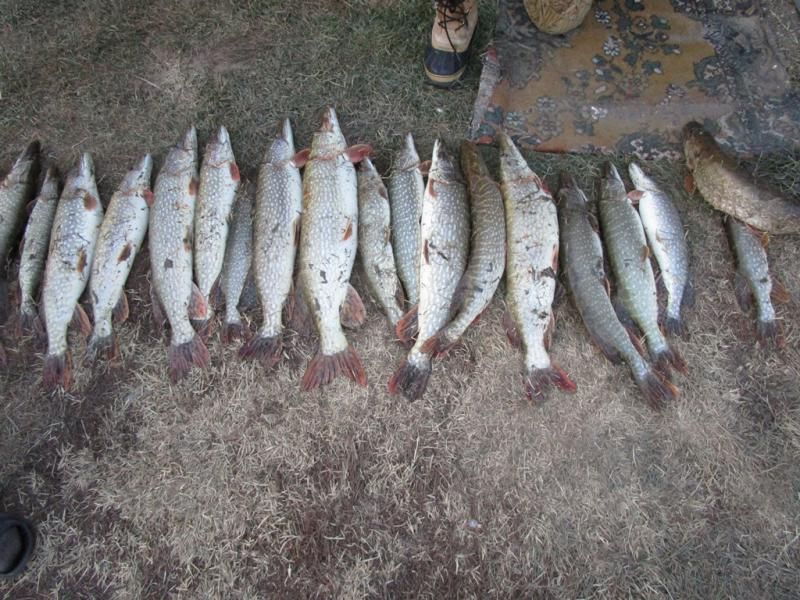 Отчет от Тепленький, 25.11.2014