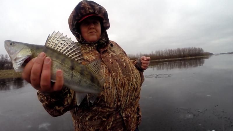 Отчет от Марины (zavuch), 03.01.15