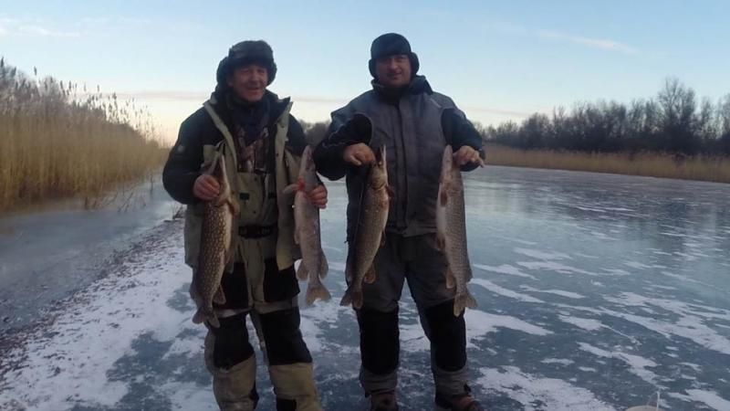 Отчет от Andrei, 10.01.2015