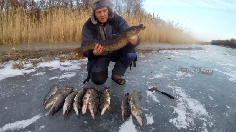 Отчет от Andrei, 11.01.2015