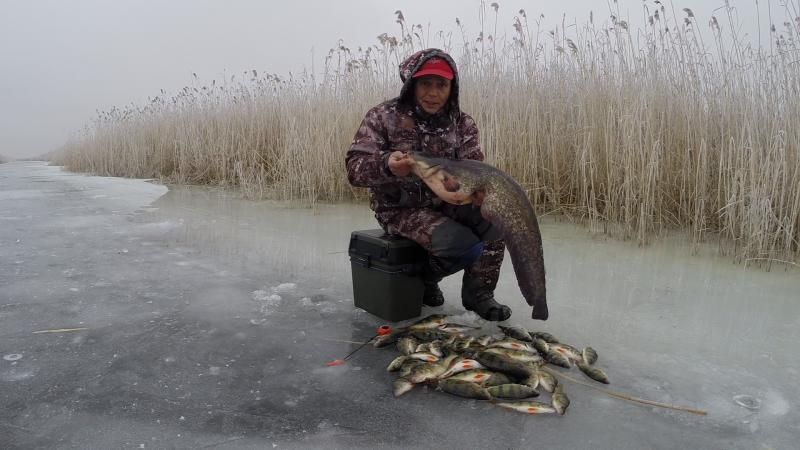 Отчет от Andrei, 19.01.2015