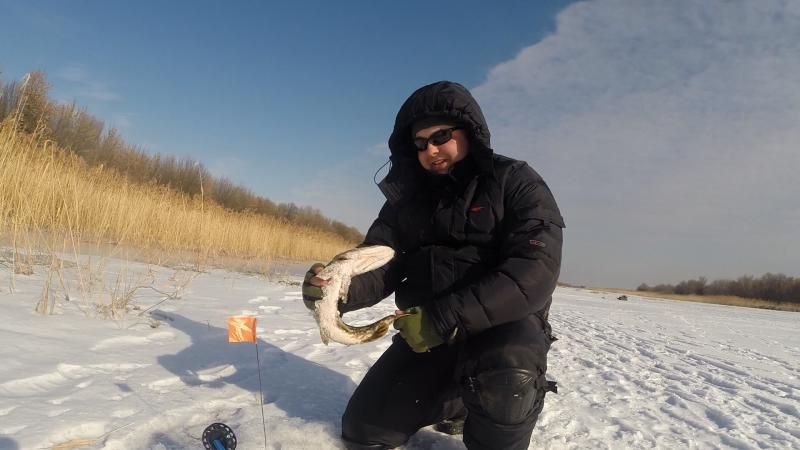 Отчет от Andrei,22.02.2015