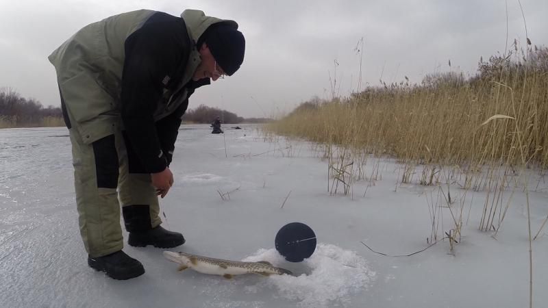 Отчет от Andrei, 28.02.2015