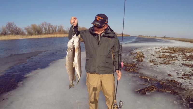 Отчет от Andrei, 03.03.2015