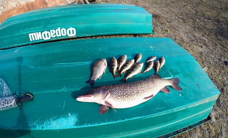 Отчет от Миши (balamut_1), 16.03.2015